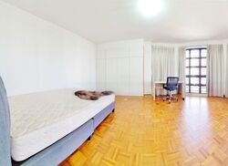 Parkway View (D15), Apartment #464728171